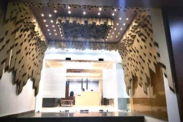 Architect and Interiors India