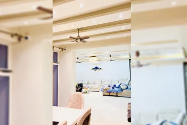 Architect and Interiors India