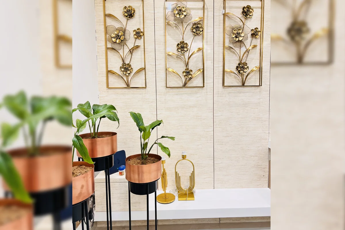 Architect and Interiors India