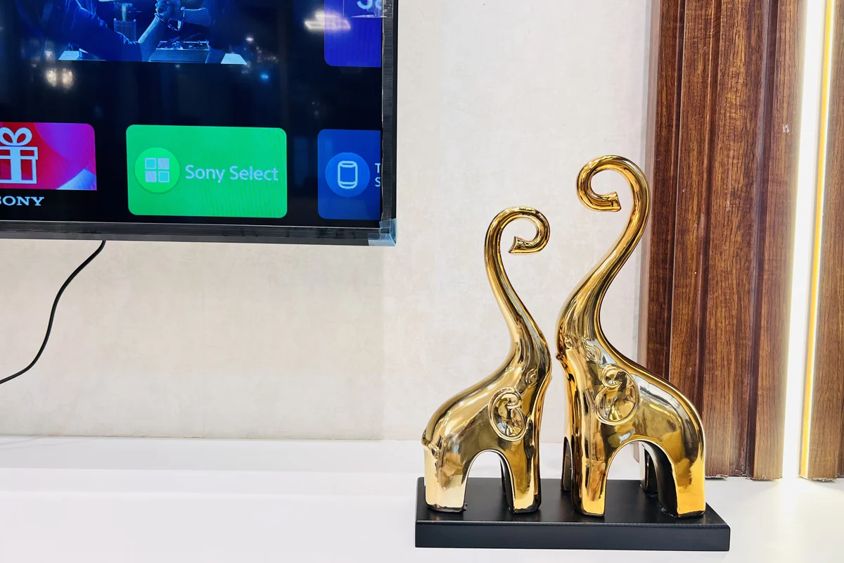 Architect and Interiors India