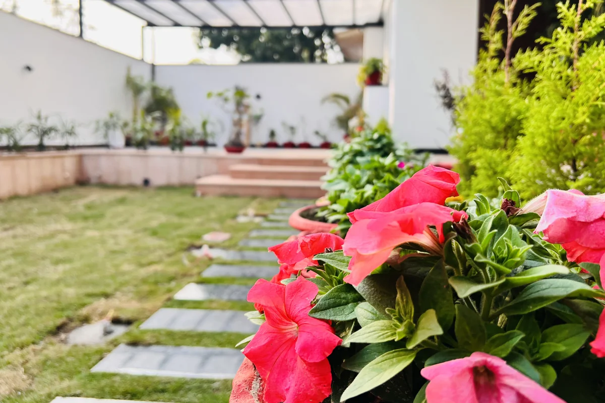 Architect and Interiors India