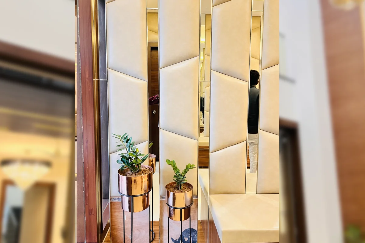 Architect and Interiors India