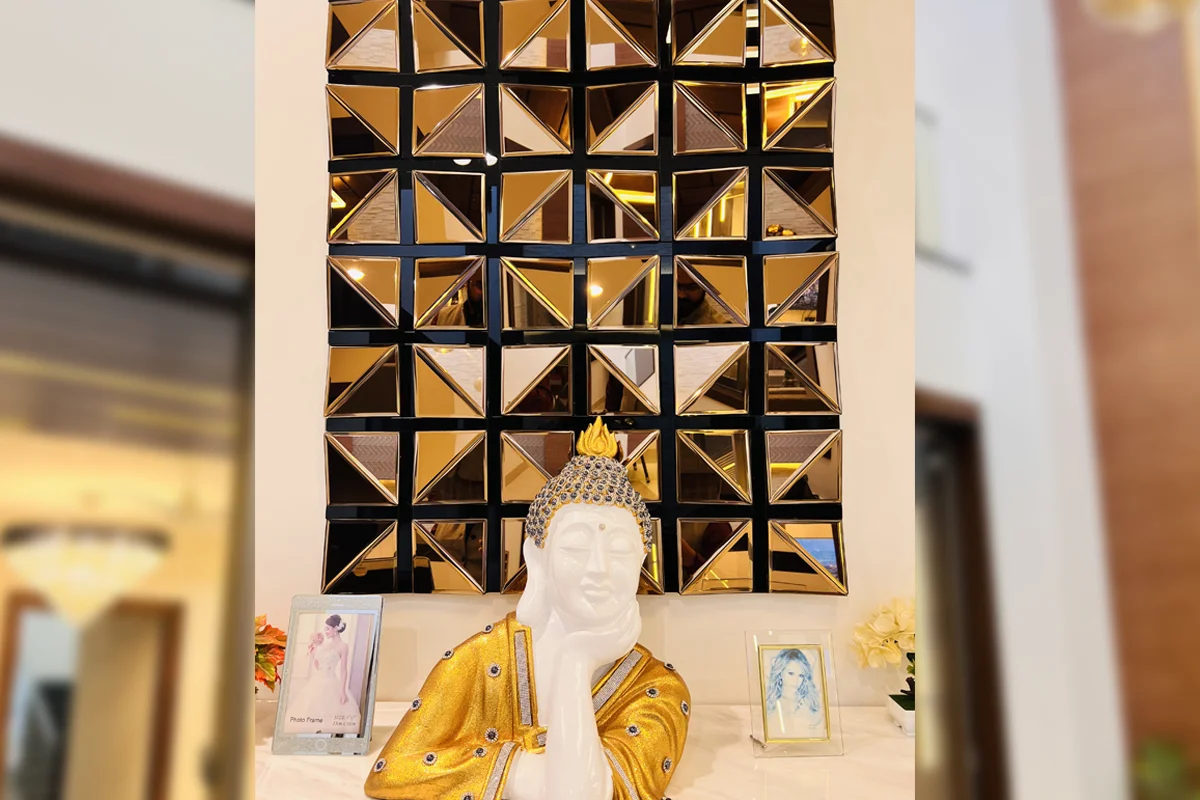 Architect and Interiors India